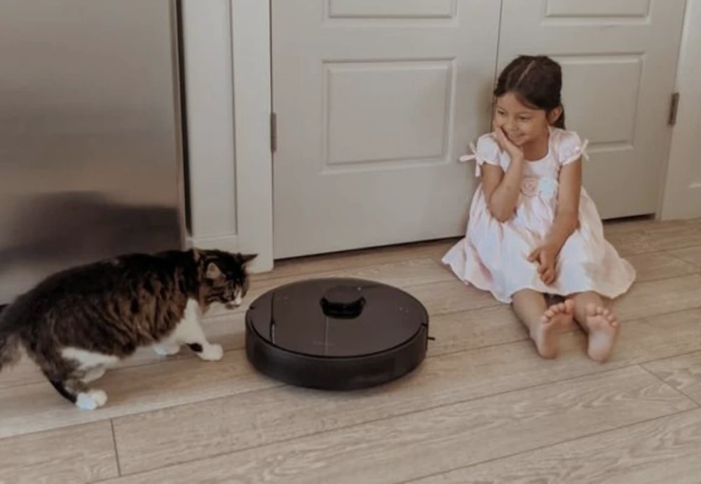 robot vacuum cleaner and mop